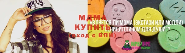 мдпв Каменка