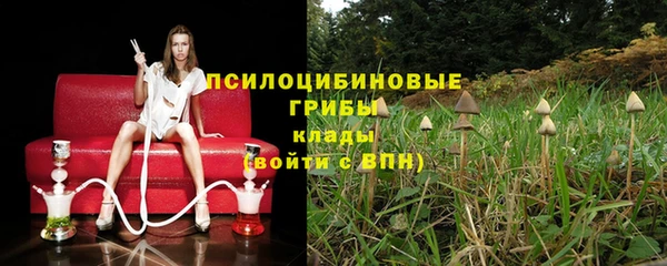 прущие крисы Алексеевка