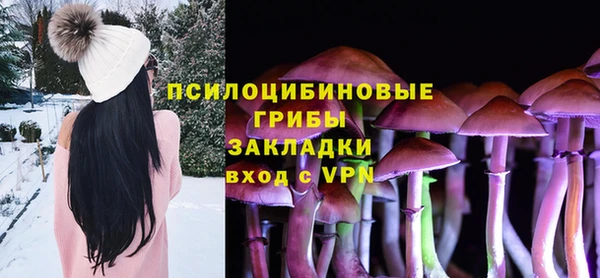 прущие крисы Алексеевка