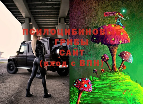 меф Алексин